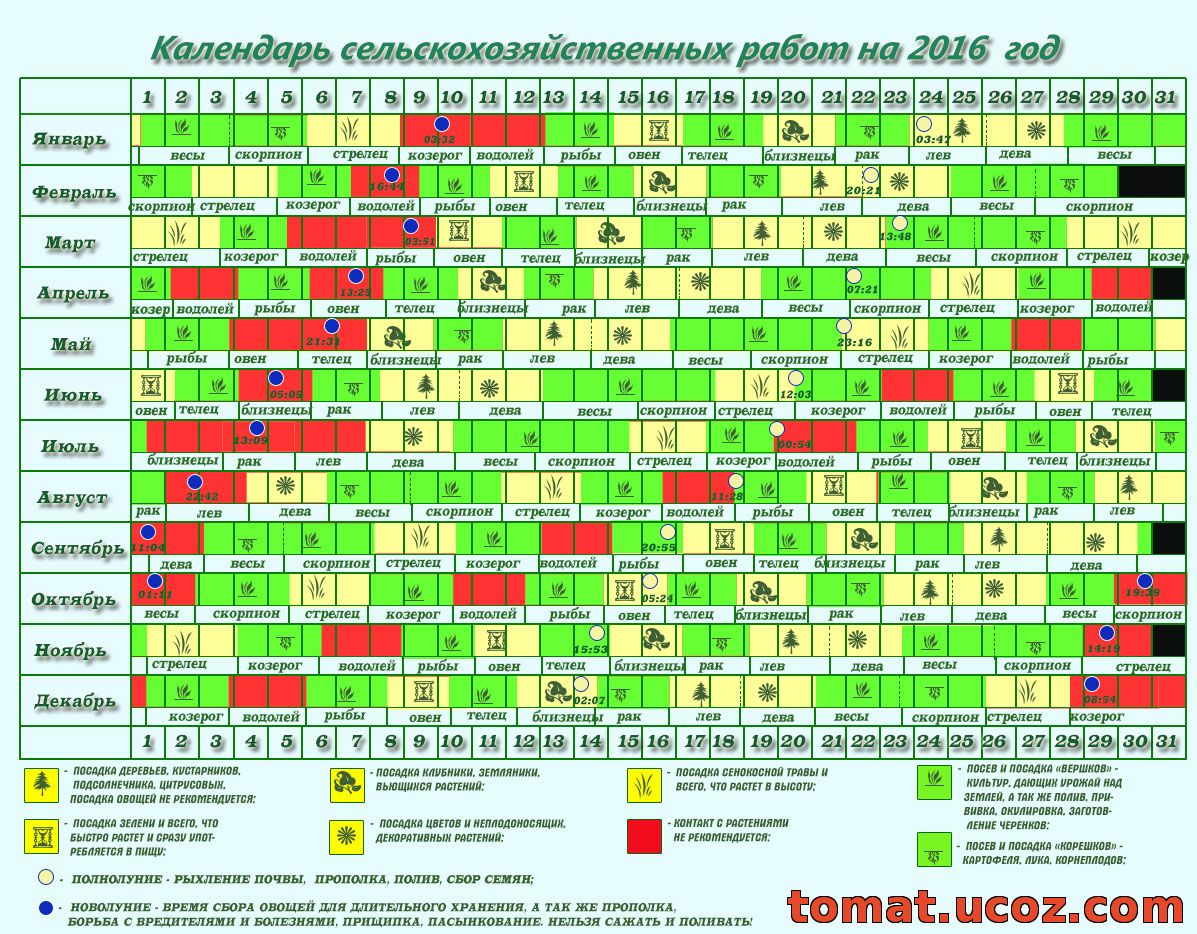 Посадка картофеля в апреле 2024 года. Календарь посадки растений. Календарь высадки растений. Календарь высадки рассады. График посадки растений.